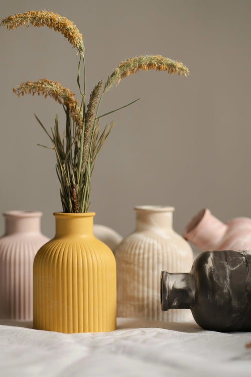 Four vases of different colors with plants on a neutral background